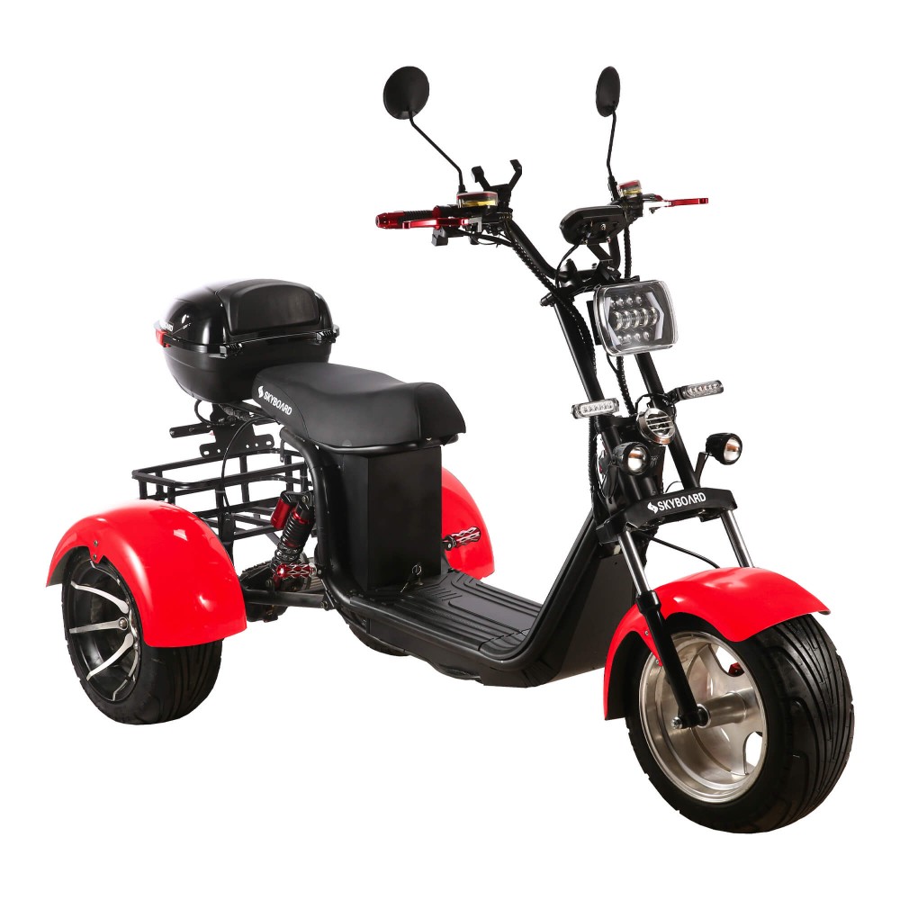 Skyboard Trike br60 3000